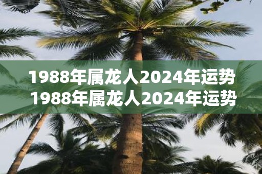 1988年属龙人2024年运势 1988年属龙人2024年运势如何