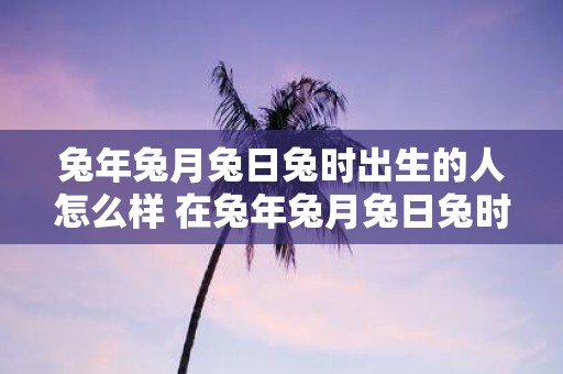 兔年兔月兔日兔时出生的人怎么样 在兔年兔月兔日兔时出生的人的性格特点和命运如何