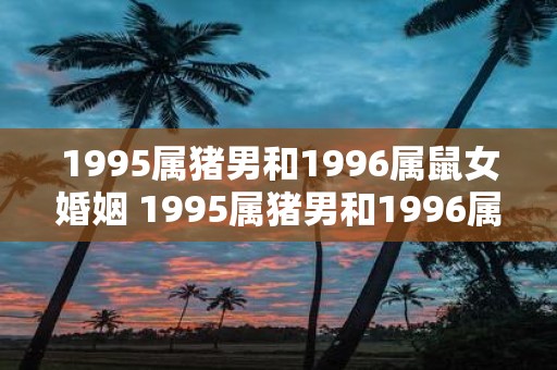 1995属猪男和1996属鼠女婚姻 1995属猪男和1996属鼠女能否幸福美满地走进婚姻殿堂