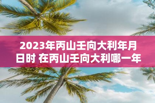 2023年丙山壬向大利年月日时 在丙山壬向大利哪一年哪一个月哪一天哪一个时辰