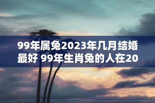 99年属兔2023年几月结婚最好 99年生肖兔的人在2023年哪个月结婚最为适宜