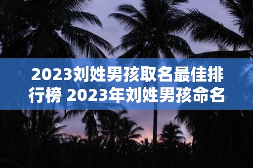 2023刘姓男孩取名最佳排行榜 2023年刘姓男孩命名排行榜出炉是否能帮助准爸爸妈妈选择最佳名字