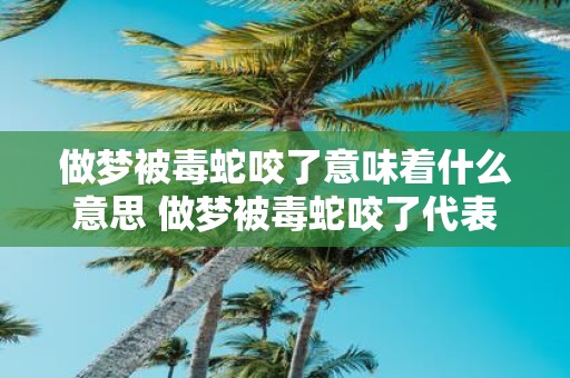 做梦被毒蛇咬了意味着什么意思 做梦被毒蛇咬了代表着什么含义