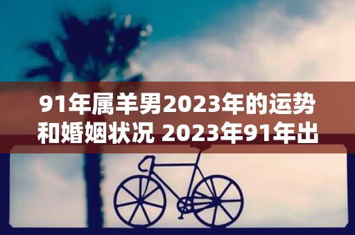 91年属羊男2023年的运势和婚姻状况 2023年91年出生的属羊男运势如何婚姻状况会如何发展