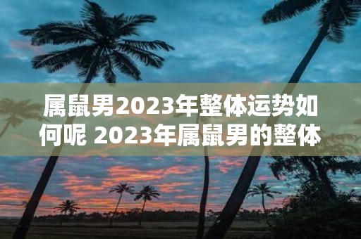 属鼠男2023年整体运势如何呢 2023年属鼠男的整体运势会如何