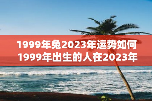 1999年兔2023年运势如何 1999年出生的人在2023年的运势如何