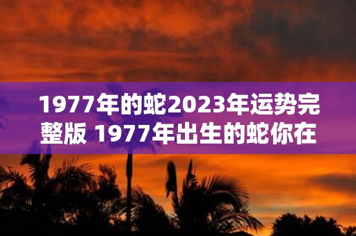 1977年的蛇2023年运势完整版 1977年出生的蛇你在2023年的运势如何