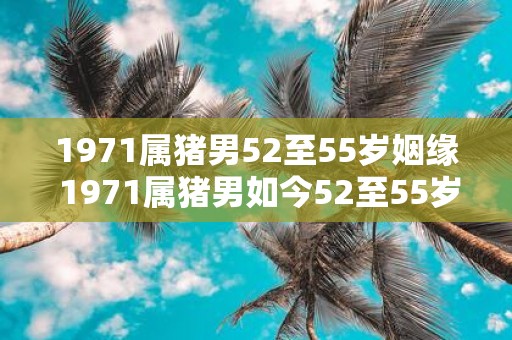 1971属猪男52至55岁姻缘 1971属猪男如今52至55岁婚姻状况如何