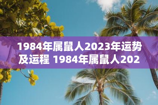 1984年属鼠人2023年运势及运程 1984年属鼠人2023年的运势和运程如何