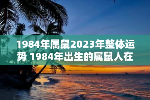 1984年属鼠2023年整体运势 1984年出生的属鼠人在2023年的运势如何