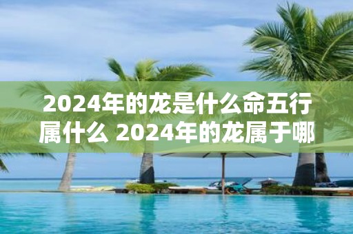 2024年的龙是什么命五行属什么 2024年的龙属于哪个生肖其五行属于什么