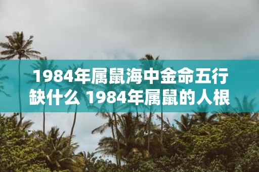 1984年属鼠海中金命五行缺什么 1984年属鼠的人根据海中金命五行缺少哪个元素