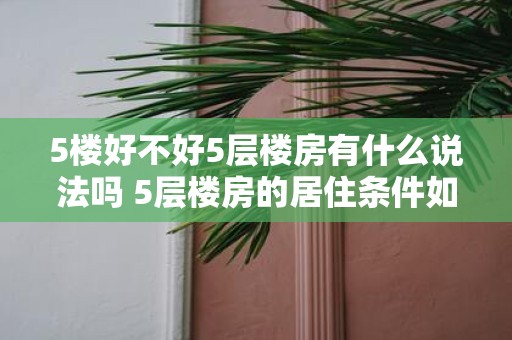 5楼好不好5层楼房有什么说法吗 5层楼房的居住条件如何有何优缺点