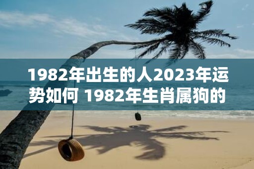 1982年出生的人2023年运势如何 1982年生肖属狗的人在2023年运势如何