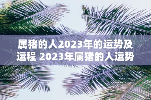 属猪的人2023年的运势及运程 2023年属猪的人运势如何未来一年的运程如何发展