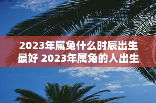 2023年属兔什么时辰出生最好 2023年属兔的人出生在哪个时辰最好