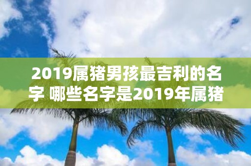 2019属猪男孩最吉利的名字 哪些名字是2019年属猪男孩最吉利的