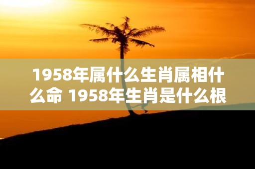 1958年属什么生肖属相什么命 1958年生肖是什么根据生肖属相推算这是什么命