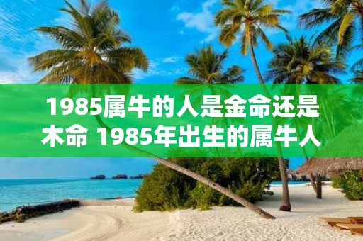 1985属牛的人是金命还是木命 1985年出生的属牛人是属于金命还是木命