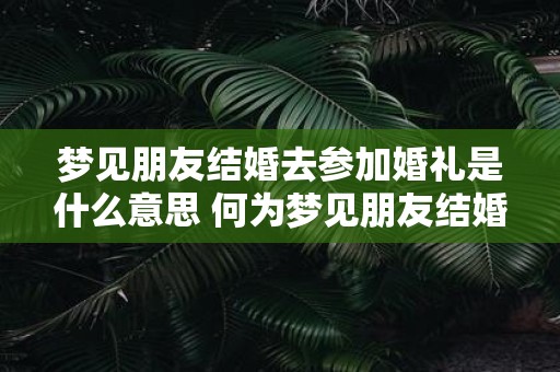 梦见朋友结婚去参加婚礼是什么意思 何为梦见朋友结婚并参加婚礼的象征意义