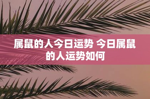 属鼠的人今日运势 今日属鼠的人运势如何