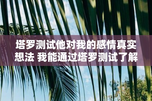 塔罗测试他对我的感情真实想法 我能通过塔罗测试了解他对我的感情真实想法吗