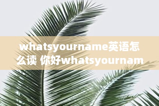 whatsyourname英语怎么读 你好whatsyourname的英语该如何发音