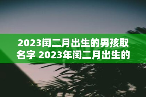 2023闰二月出生的男孩取名字 2023年闰二月出生的男孩应该取什么名字