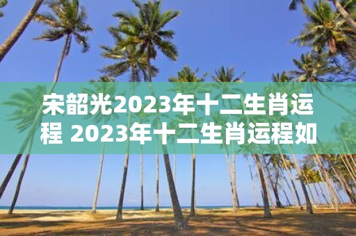 宋韶光2023年十二生肖运程 2023年十二生肖运程如何宋韶光解析