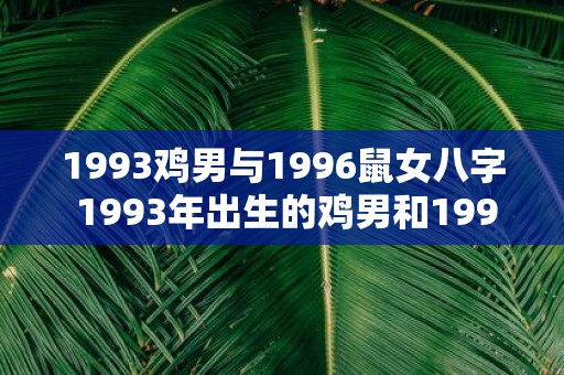 1993鸡男与1996鼠女八字 1993年出生的鸡男和1996年出生的鼠女八字合不合需考虑哪些因素