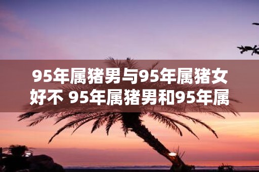 95年属猪男与95年属猪女好不 95年属猪男和95年属猪女能不能在一起