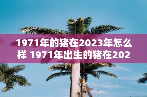 1971年的猪在2023年怎么样 1971年出生的猪在2023年的生存状况如何