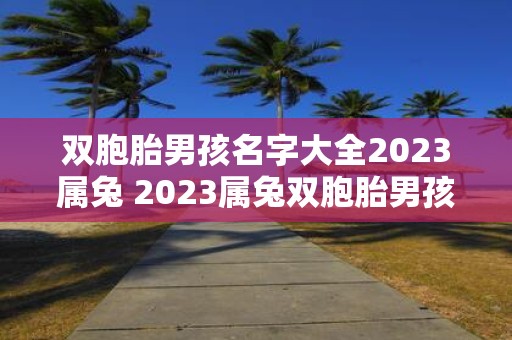 双胞胎男孩名字大全2023属兔 2023属兔双胞胎男孩名字有哪些