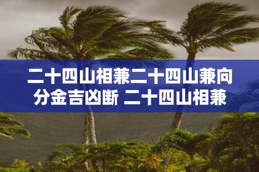 二十四山相兼二十四山兼向分金吉凶断 二十四山相兼二十四山兼向分金吉凶断如何进行吉凶断定