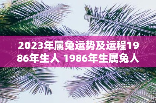 2023年属兔运势及运程1986年生人 1986年生属兔人2023年的运势和运程如何