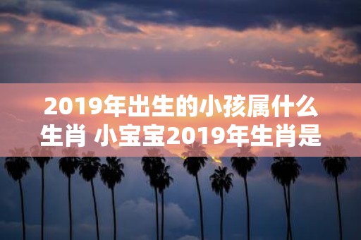 2019年出生的小孩属什么生肖 小宝宝2019年生肖是什么