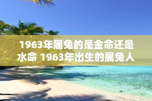 1963年属兔的是金命还是水命 1963年出生的属兔人属于金命还是水命