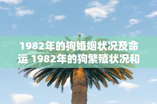 1982年的狗婚姻状况及命运 1982年的狗繁殖状况和它们的命运如何