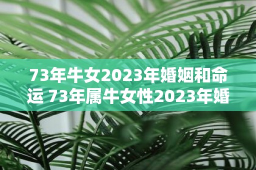 73年牛女2023年婚姻和命运 73年属牛女性2023年婚姻和命运如何