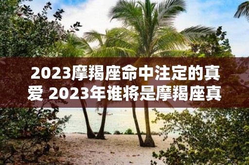 2023摩羯座命中注定的真爱 2023年谁将是摩羯座真爱命中注定的人