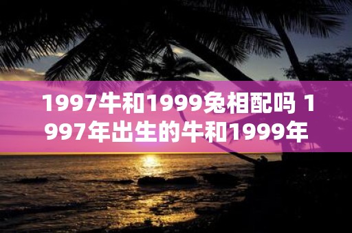 1997牛和1999兔相配吗 1997年出生的牛和1999年出生的兔是否适合在一起