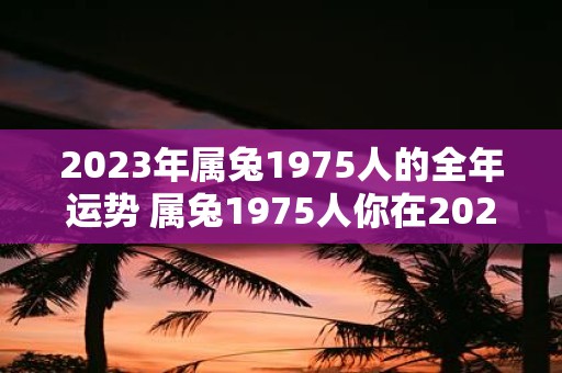 2023年属兔1975人的全年运势 属兔1975人你在2023年的运势如何