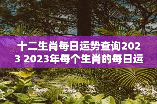 十二生肖每日运势查询2023 2023年每个生肖的每日运势如何如何查询十二生肖每日运势