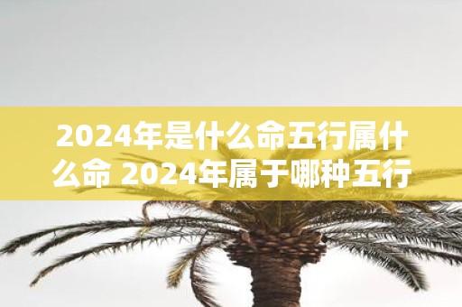 2024年是什么命五行属什么命 2024年属于哪种五行命理以及对应的五行属相呢