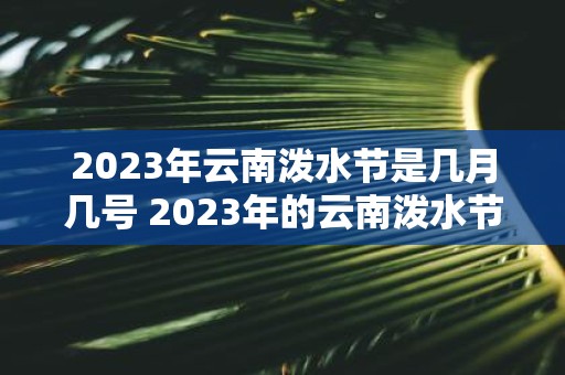 2023年云南泼水节是几月几号 2023年的云南泼水节将在哪个具体的月份和日期举行