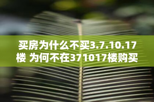 买房为什么不买3.7.10.17楼 为何不在371017楼购买房产