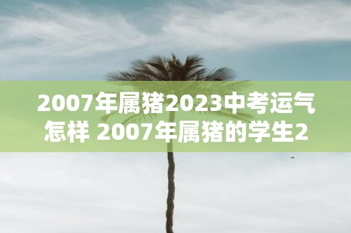 2007年属猪2023中考运气怎样 2007年属猪的学生2023年参加中考会有怎样的运势