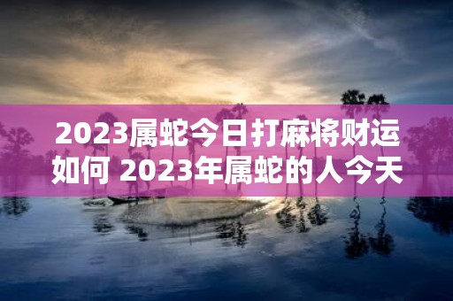 2023属蛇今日打麻将财运如何 2023年属蛇的人今天打麻将财运会有何变化