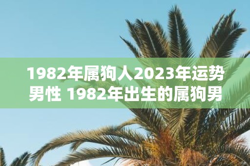 1982年属狗人2023年运势男性 1982年出生的属狗男性在2023年的运势如何