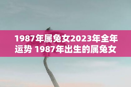 1987年属兔女2023年全年运势 1987年出生的属兔女性2023年的运势如何